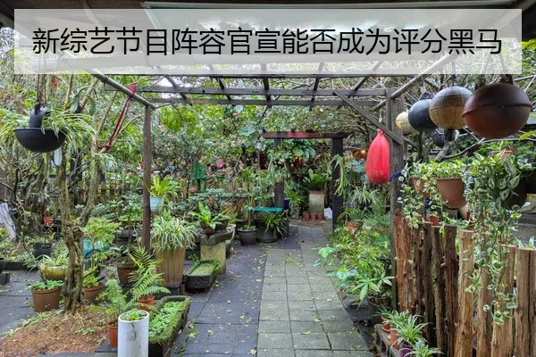 新综艺节目阵容官宣能否成为评分黑马